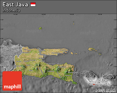 Satellite Map of East Java, desaturated