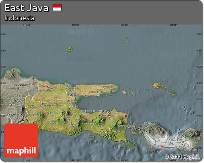 Satellite Map of East Java, semi-desaturated