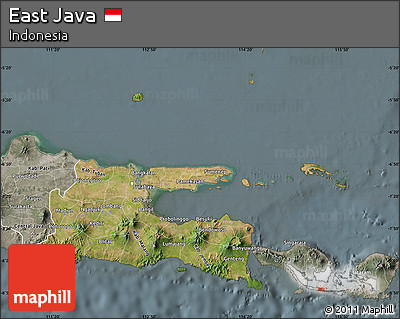 Satellite Map of East Java, semi-desaturated