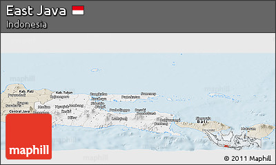 Classic Style Panoramic Map of East Java