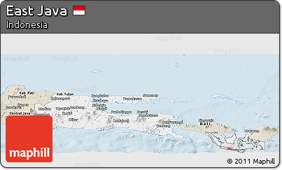 Classic Style Panoramic Map of East Java