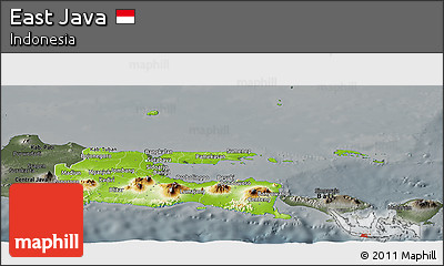 Physical Panoramic Map of East Java, darken, semi-desaturated