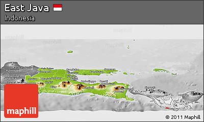 Physical Panoramic Map of East Java, desaturated
