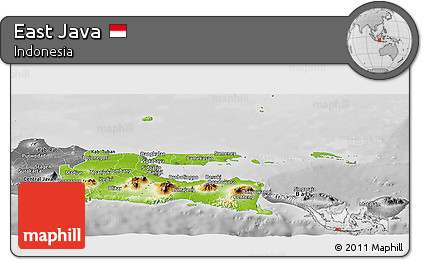 Physical Panoramic Map of East Java, desaturated