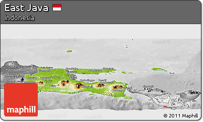 Physical Panoramic Map of East Java, desaturated