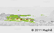 Physical Panoramic Map of East Java, lighten, desaturated