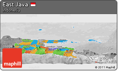 Political Panoramic Map of East Java, desaturated