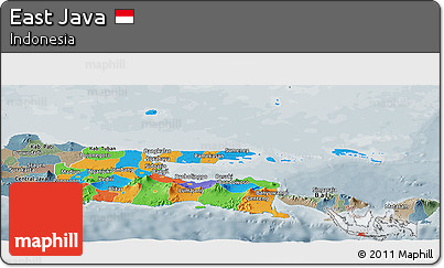 Political Panoramic Map of East Java, semi-desaturated