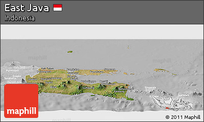 Satellite Panoramic Map of East Java, lighten, desaturated