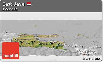 Satellite Panoramic Map of East Java, lighten, desaturated