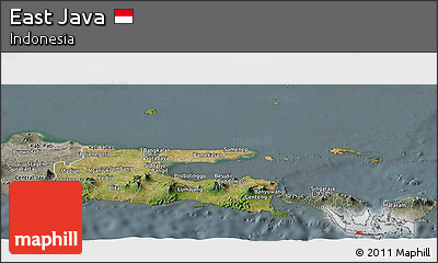 Satellite Panoramic Map of East Java, semi-desaturated