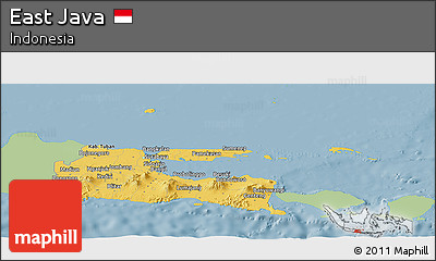 Savanna Style Panoramic Map of East Java, single color outside