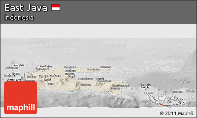 Shaded Relief Panoramic Map of East Java, desaturated