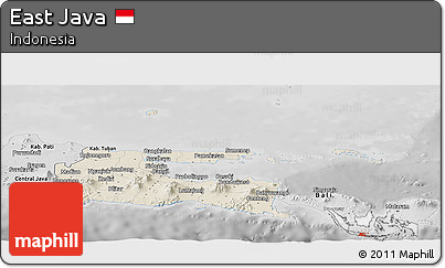 Shaded Relief Panoramic Map of East Java, desaturated