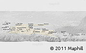 Shaded Relief Panoramic Map of East Java, desaturated