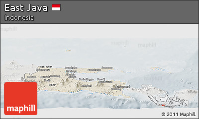 Shaded Relief Panoramic Map of East Java, lighten, semi-desaturated