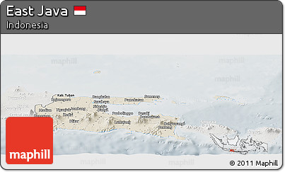 Shaded Relief Panoramic Map of East Java, lighten, semi-desaturated