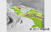 Physical 3D Map of Irian Jaya, desaturated