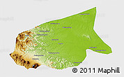 Physical 3D Map of Kab. Sarolangun Bangko, single color outside
