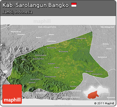 Satellite 3D Map of Kab. Sarolangun Bangko, lighten, desaturated