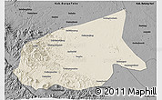 Shaded Relief 3D Map of Kab. Sarolangun Bangko, darken, desaturated