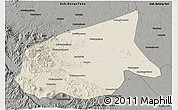 Shaded Relief 3D Map of Kab. Sarolangun Bangko, darken, semi-desaturated