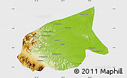Physical Map of Kab. Sarolangun Bangko, single color outside