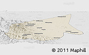 Shaded Relief Panoramic Map of Kab. Sarolangun Bangko, lighten, desaturated