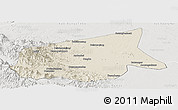 Shaded Relief Panoramic Map of Kab. Sarolangun Bangko, lighten, semi-desaturated
