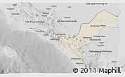 Shaded Relief 3D Map of Kab. Lampung Utara, desaturated