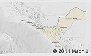 Shaded Relief 3D Map of Kab. Lampung Utara, lighten, desaturated