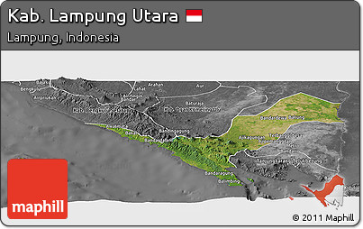 Satellite Panoramic Map of Kab. Lampung Utara, desaturated