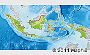 Physical Map of Indonesia, lighten, desaturated, land only