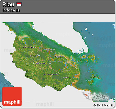 Satellite 3D Map of Riau, single color outside