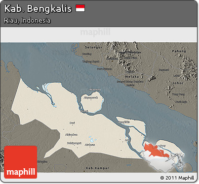 Shaded Relief 3D Map of Kab. Bengkalis, darken
