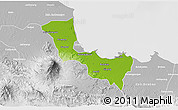 Physical 3D Map of Kab. Cirebon, lighten, desaturated
