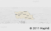 Shaded Relief Panoramic Map of Kab. Tangerang, lighten, desaturated