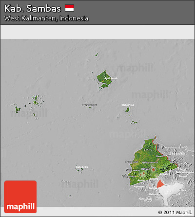 Satellite 3D Map of Kab. Sambas, lighten, desaturated