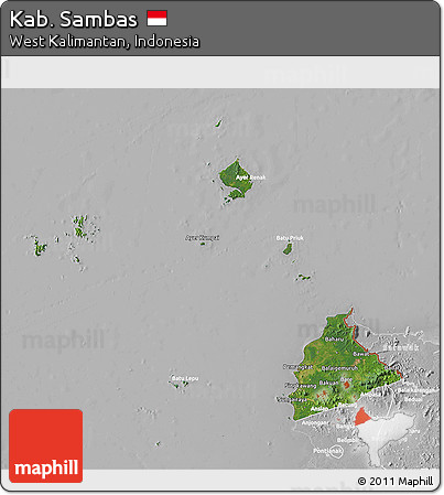 Satellite 3D Map of Kab. Sambas, lighten, desaturated