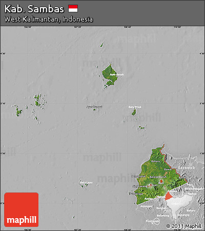 Satellite Map of Kab. Sambas, lighten, desaturated