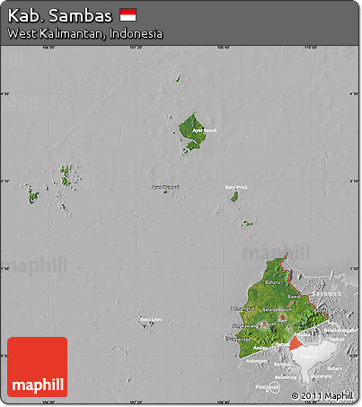 Satellite Map of Kab. Sambas, lighten, desaturated