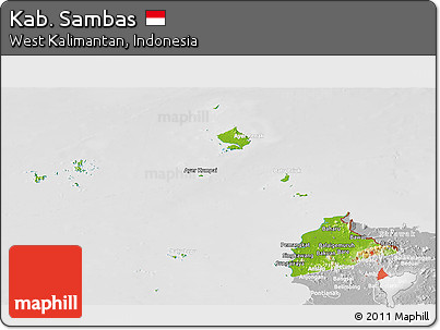 Physical Panoramic Map of Kab. Sambas, lighten, desaturated