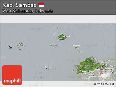 Satellite Panoramic Map of Kab. Sambas, lighten, semi-desaturated