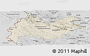 Shaded Relief Panoramic Map of Bakhtaran, desaturated