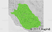 Political 3D Map of Fars, lighten, desaturated