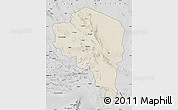 Shaded Relief Map of Kerman, desaturated