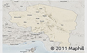 Shaded Relief Panoramic Map of Kerman, semi-desaturated