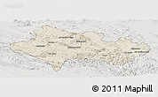 Shaded Relief Panoramic Map of Lorestan, lighten, semi-desaturated