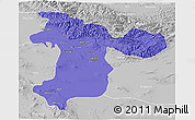 Political 3D Map of Tehran, lighten, desaturated