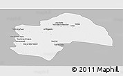 Gray Panoramic Map of Al-Qadisiyah, single color outside